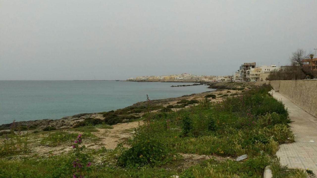 加利波利252 Via Udine别墅 外观 照片